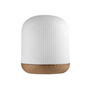 Twig Premium Ultrasonic Diffuser - Electronic